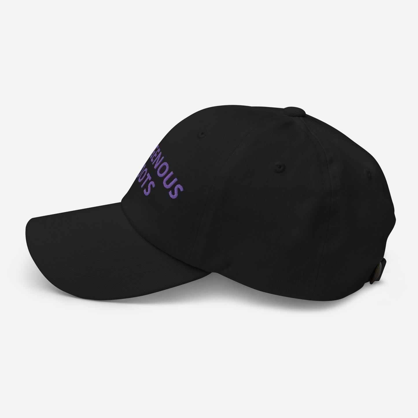 Indigenous Roots Purple Dad hat