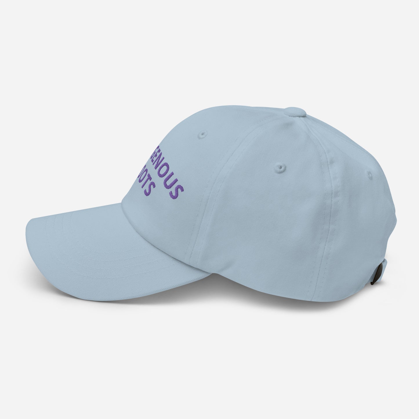 Indigenous Roots Purple Dad hat