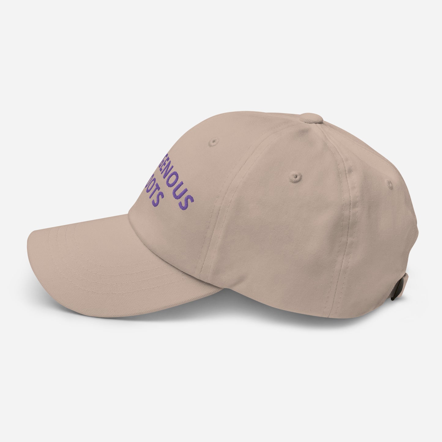 Indigenous Roots Purple Dad hat